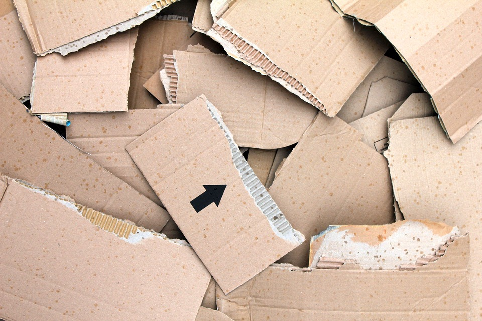 Green Moving: 5 Tips for an Eco-Friendly Move